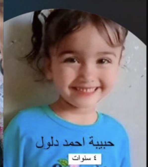 Habiba Ahmed Dalloul